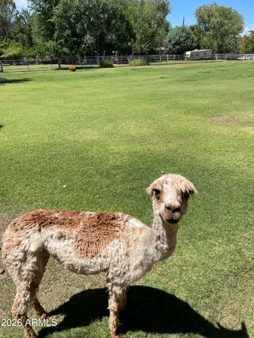 10580 E SWINGING BRIDGE Lane, Cornville, AZ 86325