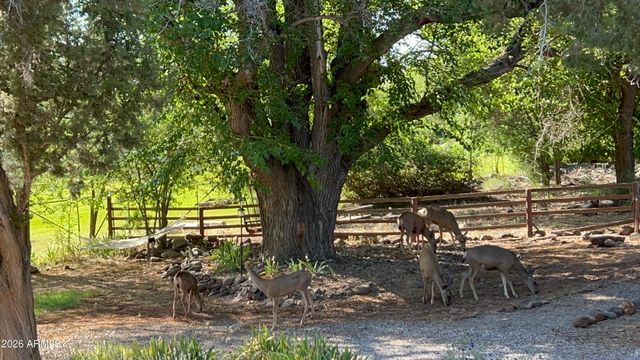 10580 E SWINGING BRIDGE Lane, Cornville, AZ 86325