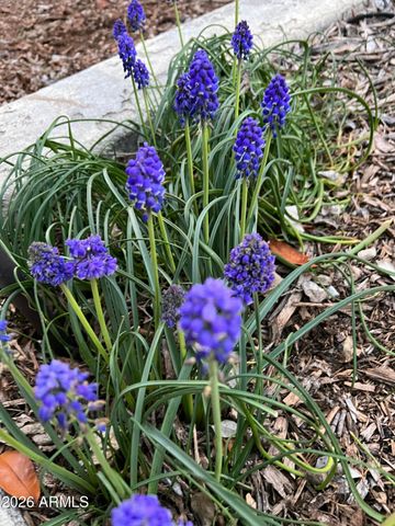 10580 E SWINGING BRIDGE Lane, Cornville, AZ 86325