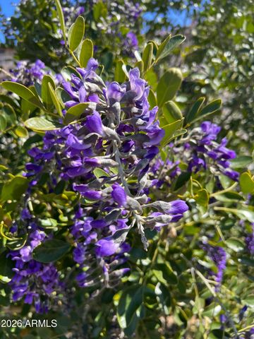 10580 E SWINGING BRIDGE Lane, Cornville, AZ 86325