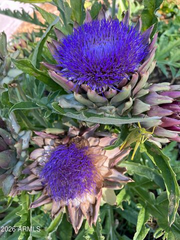 10580 E SWINGING BRIDGE Lane, Cornville, AZ 86325