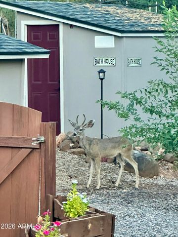 10580 E SWINGING BRIDGE Lane, Cornville, AZ 86325