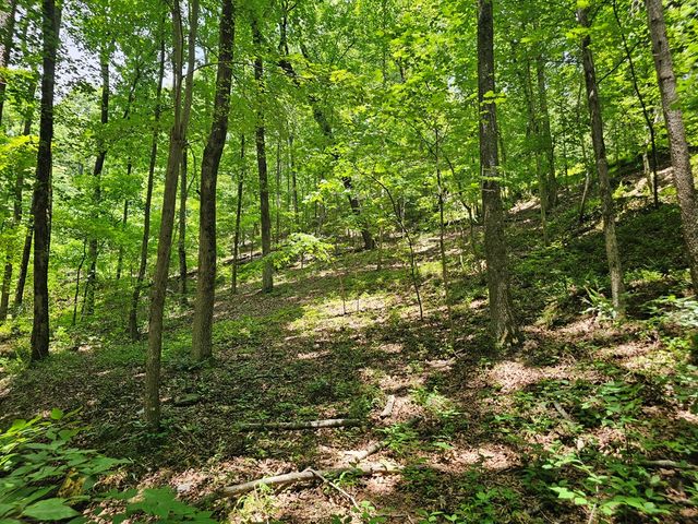 549 NE Myriad Way, Ranger, GA 30734
