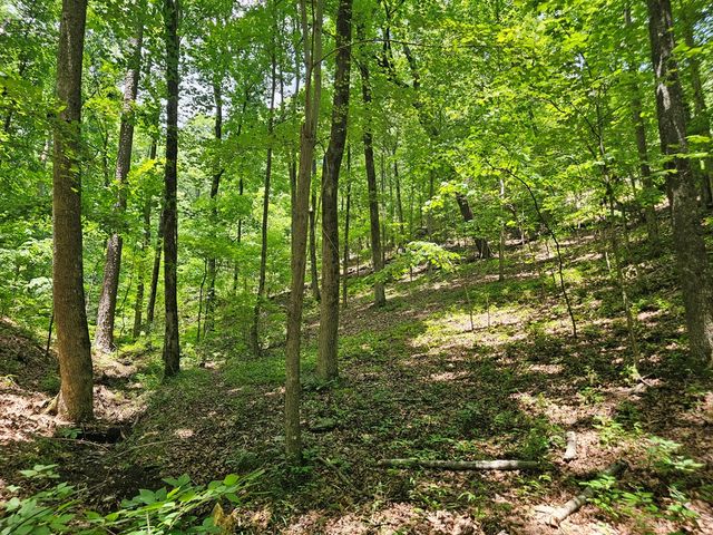 549 NE Myriad Way, Ranger, GA 30734