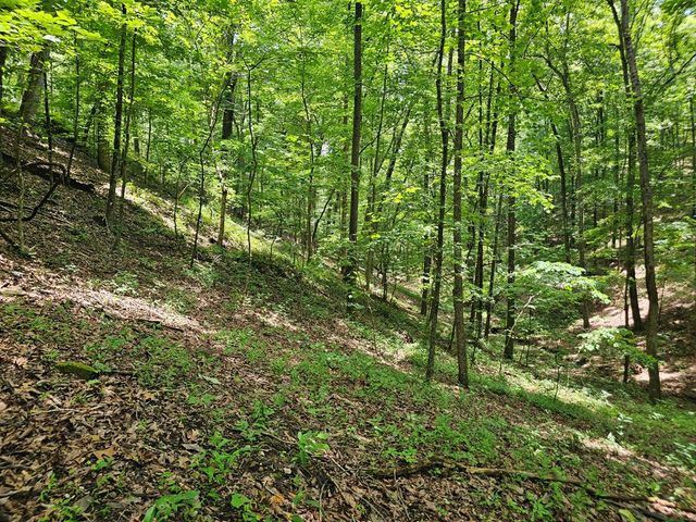 549 NE Myriad Way, Ranger, GA 30734