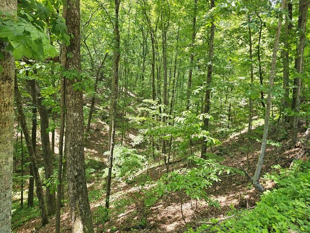 549 NE Myriad Way, Ranger, GA 30734