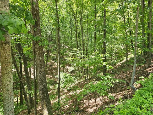 549 NE Myriad Way, Ranger, GA 30734
