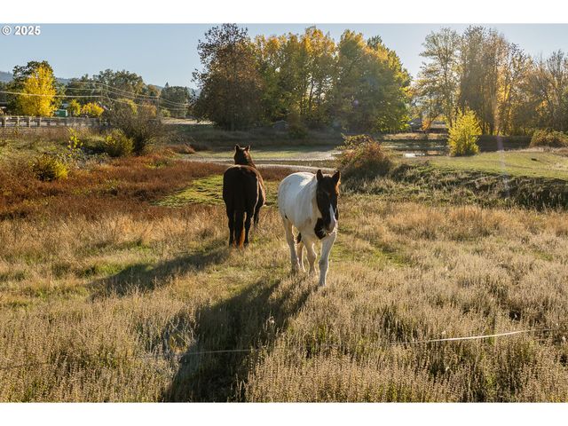 19115 HIGHWAY 42, Camas Valley, OR 97416