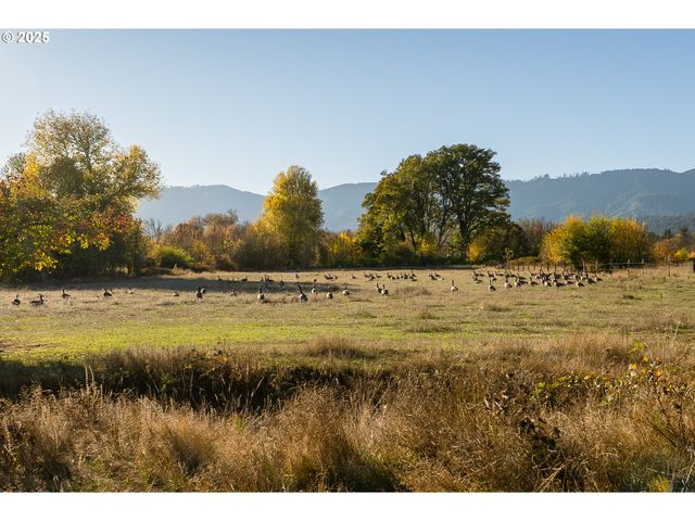 19115 HIGHWAY 42, Camas Valley, OR 97416