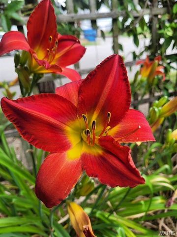 5400 Itaska Street, St Louis, MO 63109