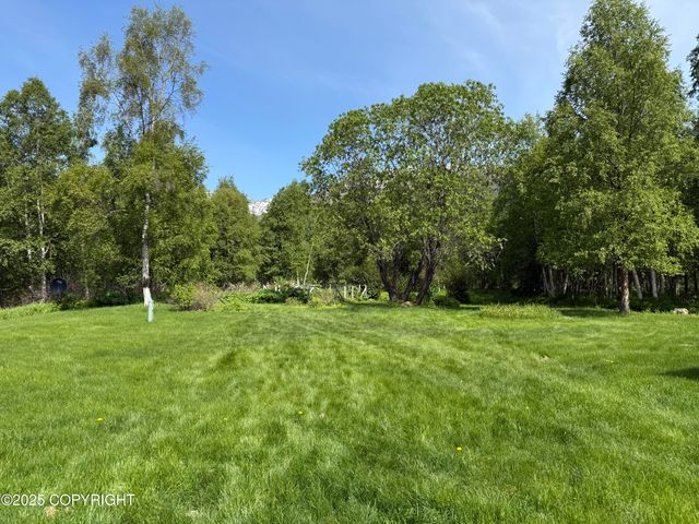 9810 N Runyon Circle, Palmer, AK 99645