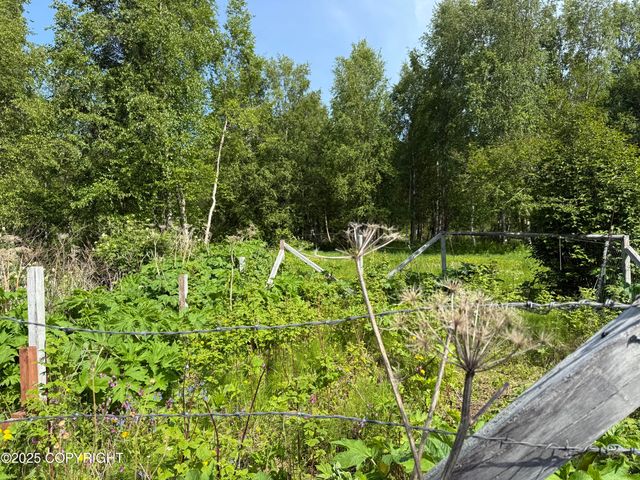 9810 N Runyon Circle, Palmer, AK 99645