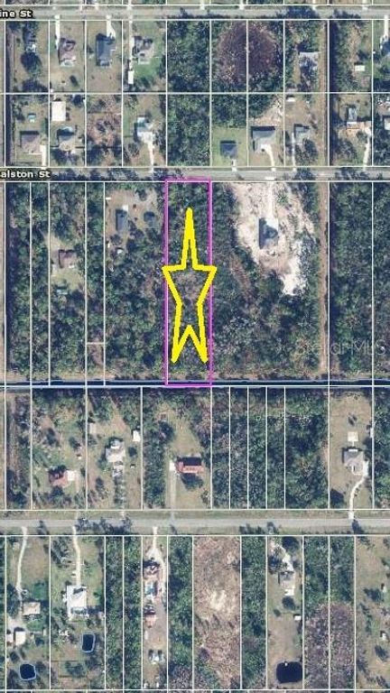 RALSTON STREET, Orlando, FL 32833