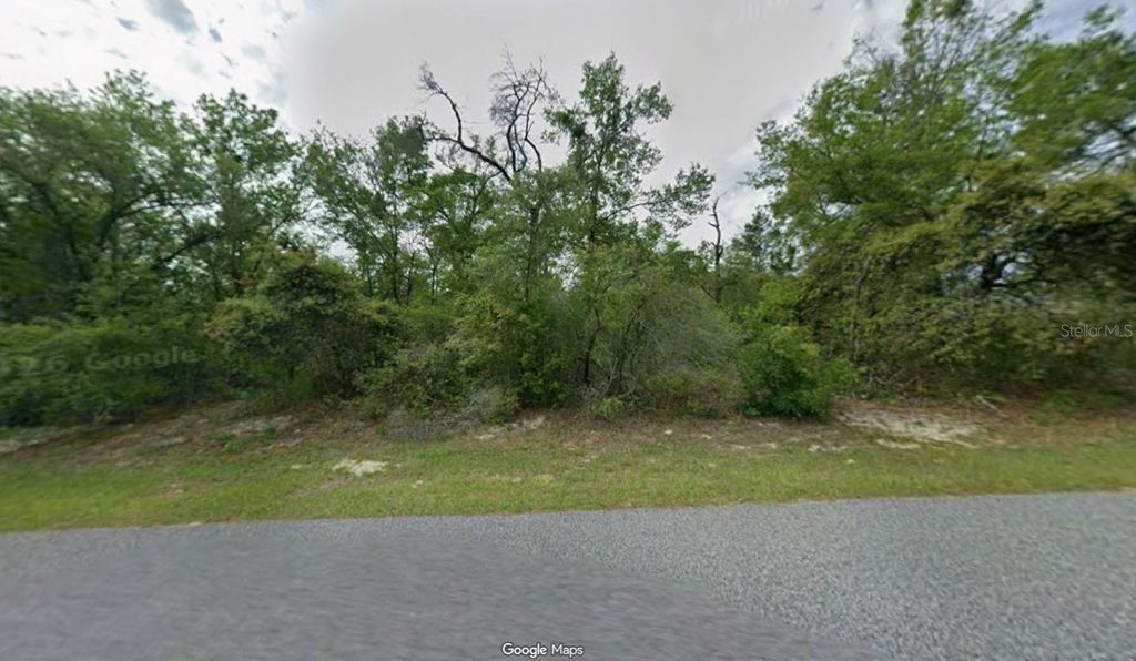 3012 W EUNICE DRIVE, Dunnellon, FL 34433