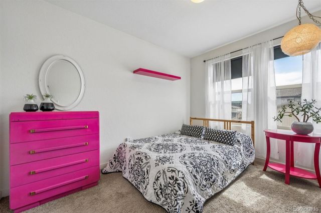 5237 Andes Way, Denver, CO 80249