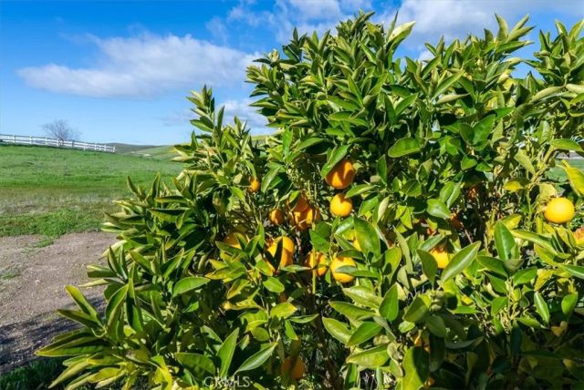 3940 Gruenhagen Flat Road, Paso Robles, CA 93446