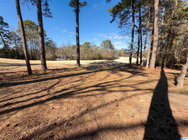 5048 KERRY DOWNS ROAD, Hoover, AL 35242