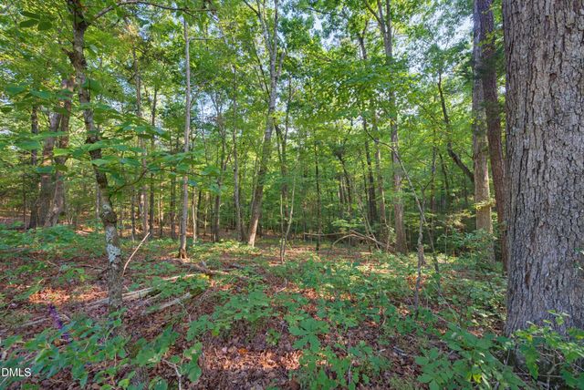100 Sloping Pond Road, Pittsboro, NC 27312