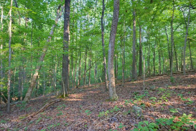100 Sloping Pond Road, Pittsboro, NC 27312