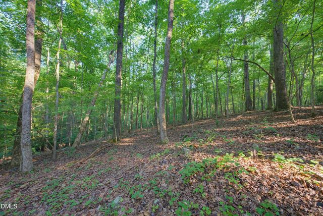 100 Sloping Pond Road, Pittsboro, NC 27312