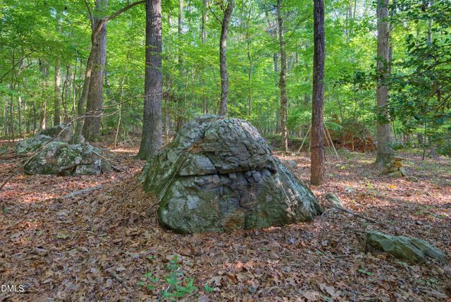 100 Sloping Pond Road, Pittsboro, NC 27312
