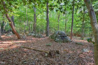 100 Sloping Pond Road, Pittsboro, NC 27312