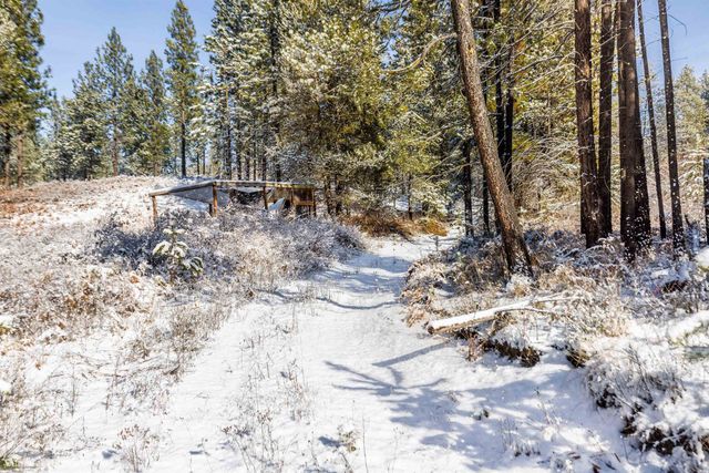 5301 E Eloika Rd, Chattaroy, WA 99003