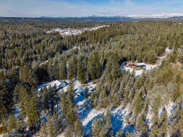 5301 E Eloika Rd, Chattaroy, WA 99003