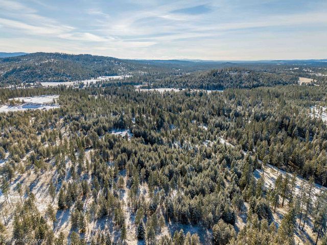 5301 E Eloika Rd, Chattaroy, WA 99003