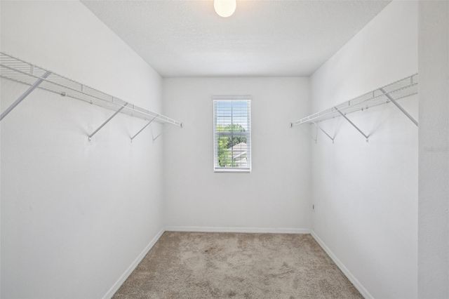 814 WILTONWAY DRIVE, Plant City, FL 33563