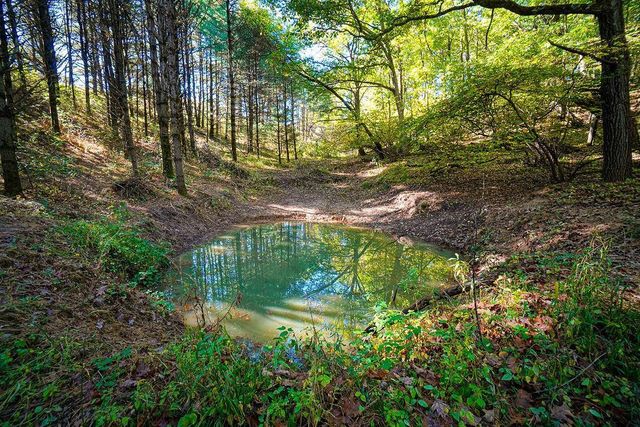 600 Oakwood Street, Warrens,warrens, WI 54666