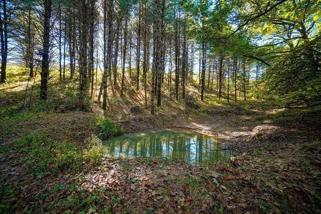 600 Oakwood Street, Warrens,warrens, WI 54666