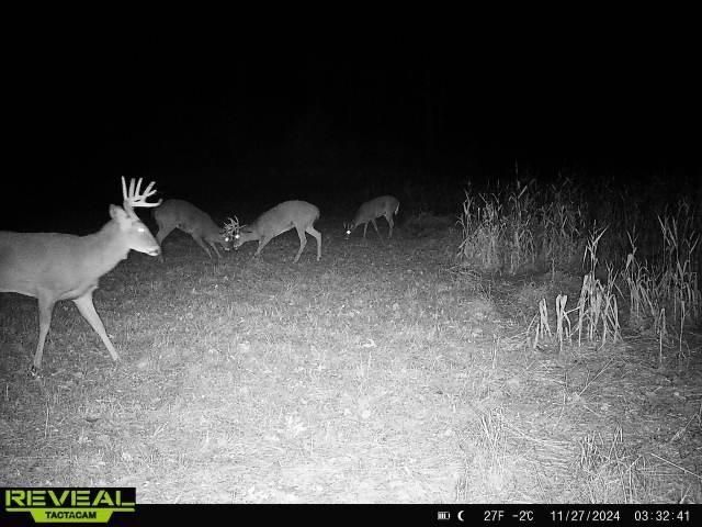 600 Oakwood Street, Warrens,warrens, WI 54666