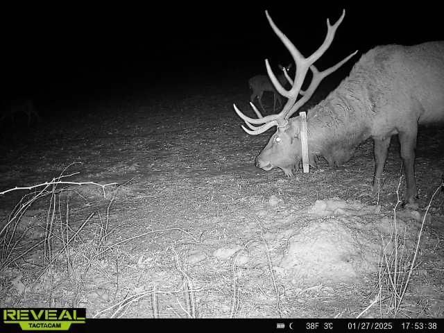 600 Oakwood Street, Warrens,warrens, WI 54666