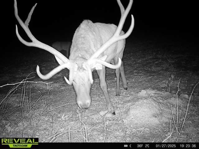 600 Oakwood Street, Warrens,warrens, WI 54666