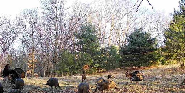 600 Oakwood Street, Warrens,warrens, WI 54666