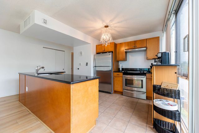 3120 S Indiana Avenue 207, Chicago, IL 60616