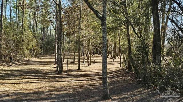 Salter Rd, Pace, FL 32571