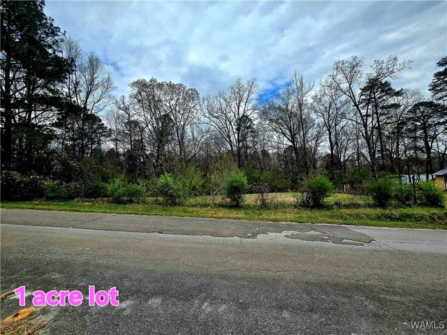 816 4th NW, Reform, AL 35481