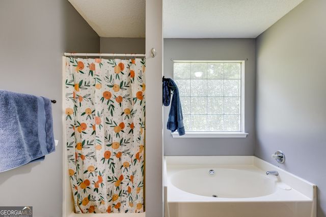 294 Collins Drive, Douglasville, GA 30134