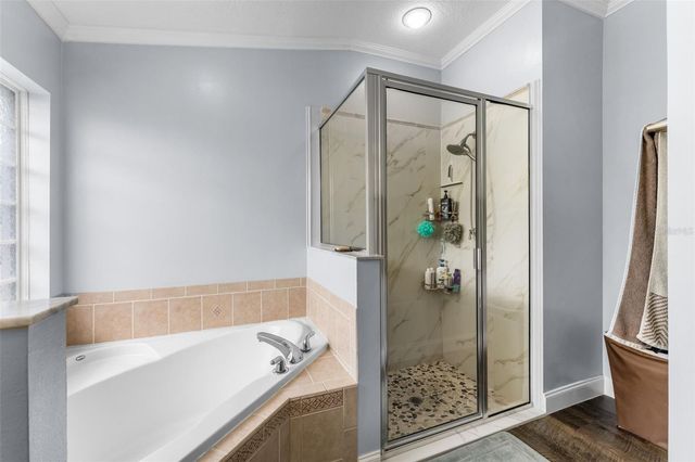10161 SE 67TH TERRACE, Belleview, FL 34420