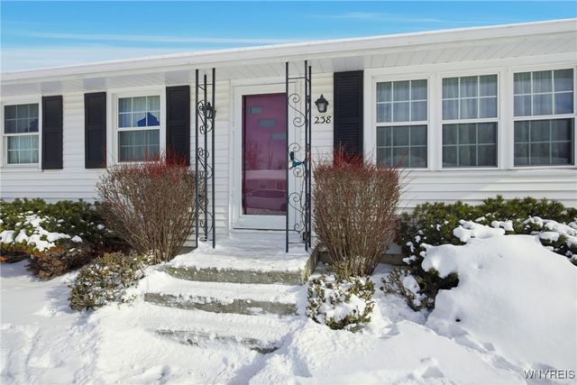 238 Orchard Place, Lackawanna, NY 14218