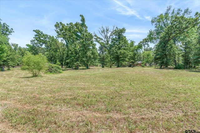 7611 Farm Market Road 314, Ben Wheeler, TX 75754