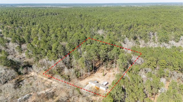 99 Fawn Drive, New Waverly, TX 77358