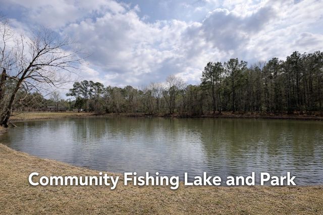 99 Fawn Drive, New Waverly, TX 77358