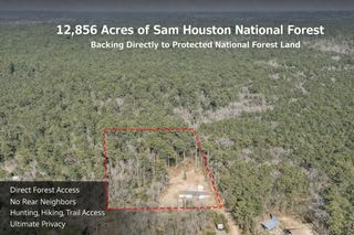 99 Fawn Drive, New Waverly, TX 77358