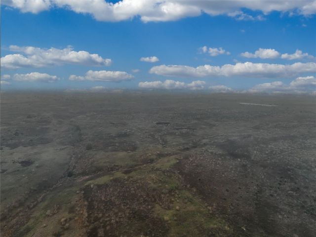 TBD 164 Highway, Buffalo, TX 75381