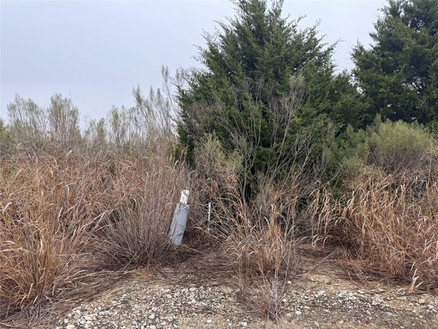 TBD 164 Highway, Buffalo, TX 75381