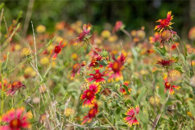 317 Memory Lane, Burton, TX 77835