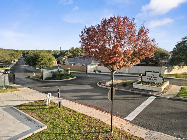 26710 Trinity Hill, San Antonio, TX 78261